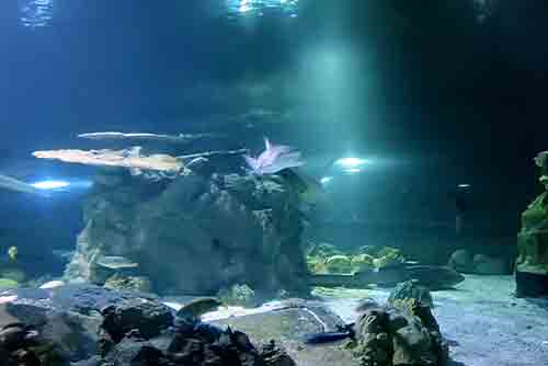 괌: 열대의 아름다움을 간직한 멋진 휴양지